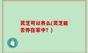 灵芝可以养么(灵芝能否养在家中？)