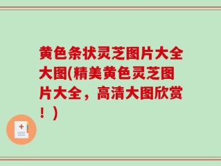 黄色条状灵芝图片大全大图(精美黄色灵芝图片大全，高清大图欣赏！)
