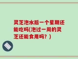 灵芝泡水后一个星期还能吃吗(泡过一周的灵芝还能食用吗？)