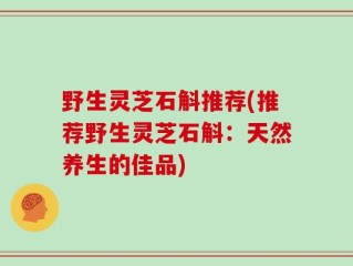野生灵芝石斛推荐(推荐野生灵芝石斛：天然养生的佳品)