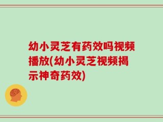 幼小灵芝有药效吗视频播放(幼小灵芝视频揭示神奇药效)