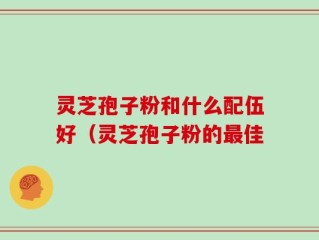 灵芝孢子粉和什么配伍好（灵芝孢子粉的最佳
