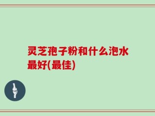 灵芝孢子粉和什么泡水最好(最佳)