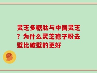 灵芝多糖肽与中国灵芝？为什么灵芝孢子粉去壁比破壁的更好