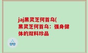 jaj黑灵芝何首乌(黑灵芝何首乌：强身健体的双料珍品