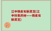 江中铁皮石斛灵芝(江中珍贵药材——铁皮石斛灵芝)