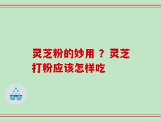 灵芝粉的妙用 ？灵芝打粉应该怎样吃