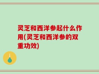 灵芝和西洋参起什么作用(灵芝和西洋参的双重功效)