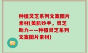 种植灵芝系列文案图片素材(美肌妙手，灵芝助力——种植灵芝系列文案图片素材)