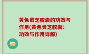 黄色灵芝胶囊的功效与作用(黄色灵芝胶囊：功效与作用详解)
