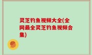灵芝钓鱼视频大全(全网最全灵芝钓鱼视频合集)