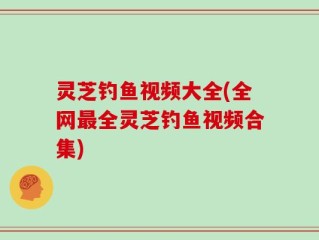 灵芝钓鱼视频大全(全网最全灵芝钓鱼视频合集)