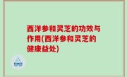 西洋参和灵芝的功效与作用(西洋参和灵芝的健康益处)
