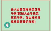 去大山里怎样找灵芝孢子粉(探秘大山寻找灵芝孢子粉：在山林间寻觅珍贵营养的秘密)