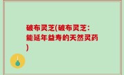 破布灵芝(破布灵芝：能延年益寿的天然灵药)