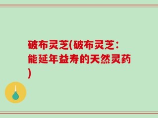 破布灵芝(破布灵芝：能延年益寿的天然灵药)