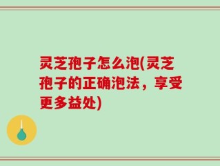 灵芝孢子怎么泡(灵芝孢子的正确泡法，享受更多益处)