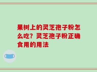 果树上的灵芝孢子粉怎么吃？灵芝孢子粉正确食用的用法