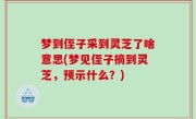 梦到侄子采到灵芝了啥意思(梦见侄子摘到灵芝，预示什么？)