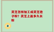 灵芝怎样加工成灵芝孢子粉？灵芝上面多久长粉