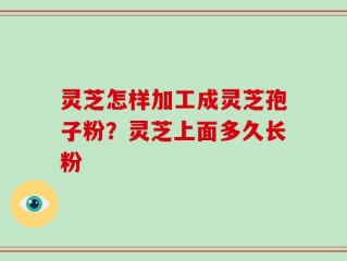 灵芝怎样加工成灵芝孢子粉？灵芝上面多久长粉