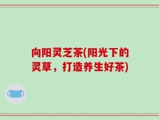 向阳灵芝茶(阳光下的灵草，打造养生好茶)