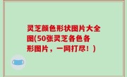 灵芝颜色形状图片大全图(50张灵芝各色各形图片，一网打尽！)