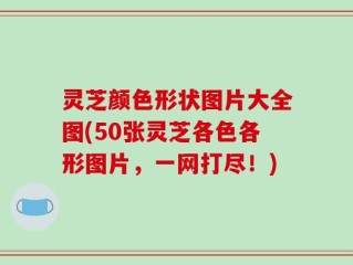 灵芝颜色形状图片大全图(50张灵芝各色各形图片，一网打尽！)