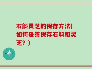 石斛灵芝的保存方法(如何妥善保存石斛和灵芝？)