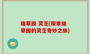 瑞草园 灵芝(探索瑞草园的灵芝奇妙之旅)