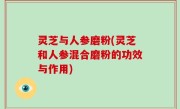 灵芝与人参磨粉(灵芝和人参混合磨粉的功效与作用)