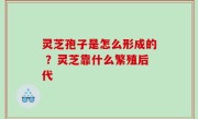 灵芝孢子是怎么形成的 ？灵芝靠什么繁殖后代