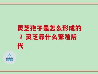灵芝孢子是怎么形成的 ？灵芝靠什么繁殖后代