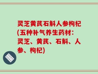 灵芝黄芪石斛人参枸杞(五种补气养生药材：灵芝、黄芪、石斛、人参、枸杞)