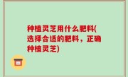 种植灵芝用什么肥料(选择合适的肥料，正确种植灵芝)
