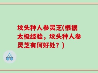 坟头种人参灵芝(根据太极经验，坟头种人参灵芝有何好处？)