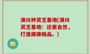 潢川种灵芝基地(潢川灵芝基地：还原自然，打造健康精品。)