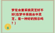 梦见水里采摘灵芝好不好(在梦中采摘水中灵芝，是一种好的预示吗？)