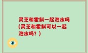 灵芝和霍斛一起泡水吗(灵芝和霍斛可以一起泡水吗？)