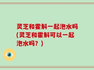 灵芝和霍斛一起泡水吗(灵芝和霍斛可以一起泡水吗？)