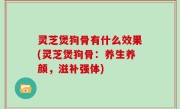 灵芝煲狗骨有什么效果(灵芝煲狗骨：养生养颜，滋补强体)
