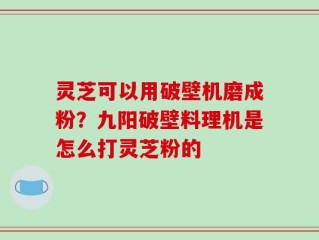 灵芝可以用破壁机磨成粉？九阳破壁料理机是怎么打灵芝粉的