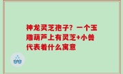 神龙灵芝孢子？一个玉雕葫芦上有灵芝+小兽代表着什么寓意