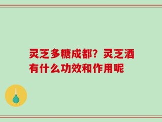 灵芝多糖成都？灵芝酒有什么功效和作用呢