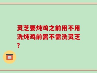 灵芝要炖鸡之前用不用洗炖鸡前需不需洗灵芝？