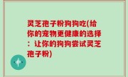 灵芝孢子粉狗狗吃(给你的宠物更健康的选择：让你的狗狗尝试灵芝孢子粉)