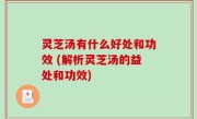 灵芝汤有什么好处和功效 (解析灵芝汤的益处和功效)
