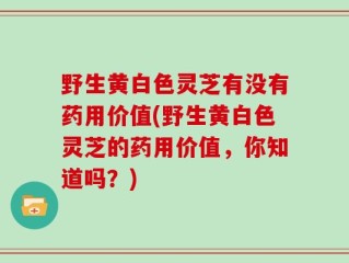 野生黄白色灵芝有没有药用价值(野生黄白色灵芝的药用价值，你知道吗？)