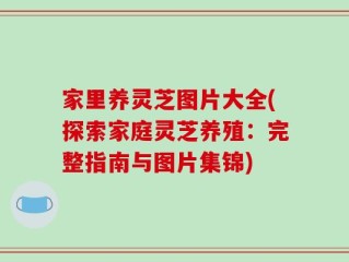 家里养灵芝图片大全(探索家庭灵芝养殖：完整指南与图片集锦)