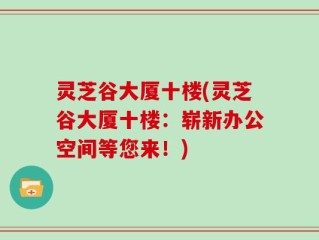 灵芝谷大厦十楼(灵芝谷大厦十楼：崭新办公空间等您来！)